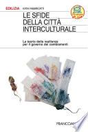Le sfide della città interculturale. La teoria della resilienza per il governo dei cambiamenti