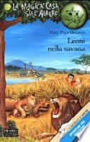 Leoni nella savana