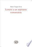 Lettere a un aspirante romanziere
