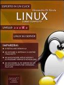 Linux. Corso completo. Livello 4