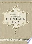 Llewellyn's Little Book of Life Between Lives
