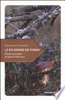 Lo splendore dei funghi. Piccola narrazione sui piaceri della cerca