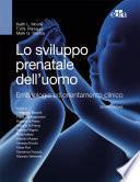 Lo sviluppo prenatale dell’uomo