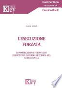 L’esecuzione forzata