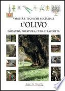 L’olivo. Varietà e tecniche culturali, impianto, potatura, cura e raccolta - Verde e natura