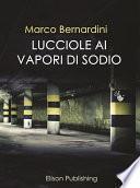 Lucciole ai vapori di sodio