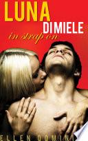 Luna di miele in strap on