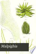 Malpighia