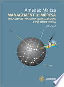 Management d'impresa. I processi gestionali tra digitalizzazione e iper-competitività