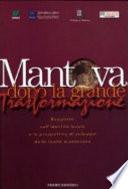 Mantova dopo la grande trasformazione. Rapporto sull'identità locale e la prospettiva di sviluppo della realtà mantovana