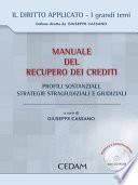 Manuale del recupero dei crediti
