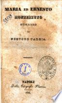 Maria ed Ernesto Montebruno romanzo di Nestore Tarsia