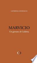 Marvicio