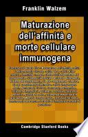 Maturazione dell'affinità e morte cellulare immunogena