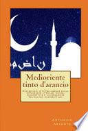 Medioriente tinto d'arancio. Riflessioni d'intelligence sulla situazione attuale. Cause, prospettive e conseguenze sul mondo occidentale