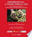 Mediterraneo sia... Il nostro Nord è il Sud! Per l'alternativa di sistema: pluripolarismo e transizioni verso il socialismo