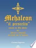Mehaleon. «Il prescelto» inviato da Dio padre per liberare l'umanità dal male che la domina
