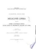 Meligunìs Lipára: Lipari. Contrada Diana. Scavo XXXVI in proprietà Zagami (1975-1984)