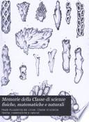 Memorie della Classe di scienze fisiche, matematiche e naturali