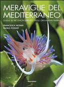 Meraviglie del Mediterraneo. Guida al riconoscimento degli organismi marini