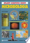 Microbiologia