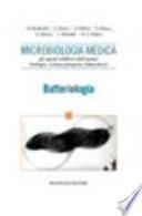 Microbiologia medica. Gli agenti infettivi dell'uomo: biologia, azione patogena, laboratorio. Batteriologia