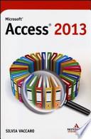 Microsoft Access 2013