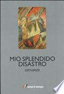 Mio splendido disastro