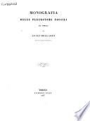 Monografia delle pleurotome fossili del Piemonte