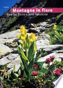 Montagne in fiore