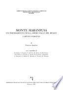 Monte Maranfusa