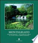 Montegelato