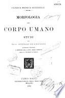 Morfologia del corpo umano