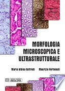 Morfologia Microscopica e Ultrastrutturale