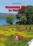 Mountain Bike in Umbria