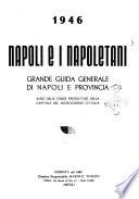 Napoli e i napoletani guida pratica illustrata