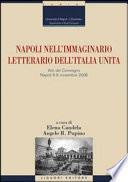 Napoli nell'immaginario letterario dell'Italia unita