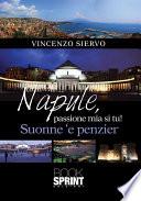 Napule, passione mia si tu
