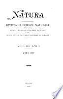 Natura