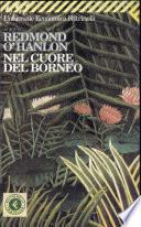 Nel cuore del Borneo