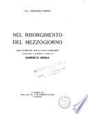 Nel Risorgimento del mezzogiorno