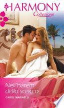 Nell'harem dello sceicco