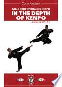 Nelle profondità del kenpo. In the depts of kenpo. Kicking set 1&2