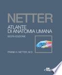 Netter. Atlante di anatomia umana