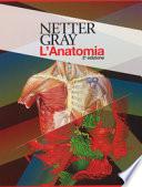 Netter Gray. L'anatomia. La chiarezza e il fascino dell'anatomia: Anatomia del Gray. Le basi anatomiche per la pratica clinica-Atlante di anatomia umana