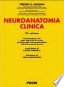 Neuroanatomia clinica. Ediz. italiana e inglese