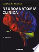 Neuroanatomia clinica