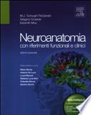 Neuroanatomia Con Riferimenti Funzionali E Clinici