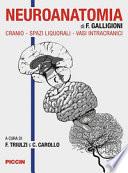 Neuroanatomia. Cranio-spazi liquorali-vasi intracranici
