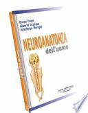 Neuroanatomia dell'uomo